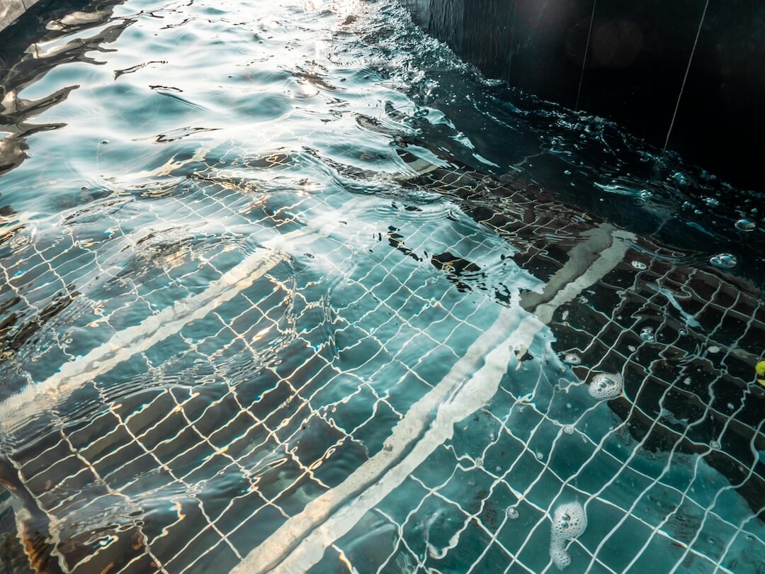 Florida Climate and Water Chemistry: Why Testing Timing Matters Image