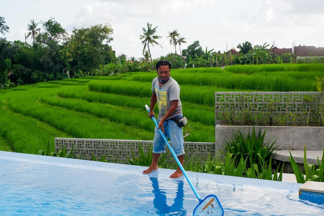Florida Climate and Pool Health: Why Timing Matters Image